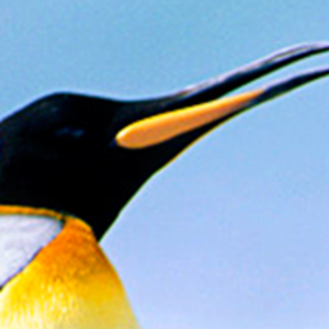 EoghanOMaolain's avatar